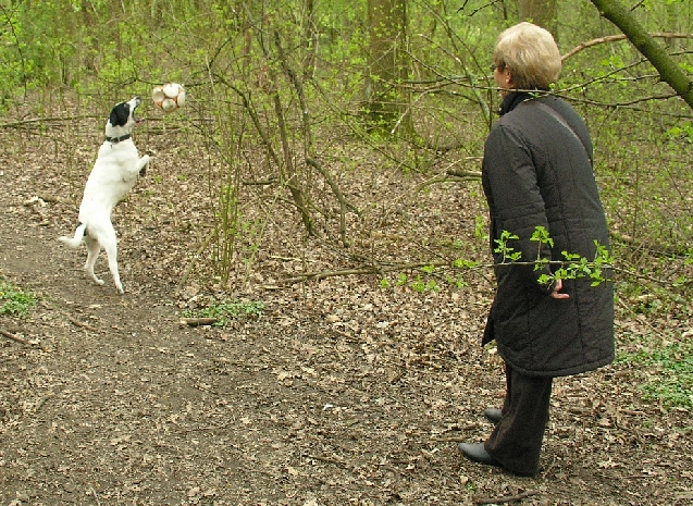 Edel spielt mit dem Kratamischling toby Fußball